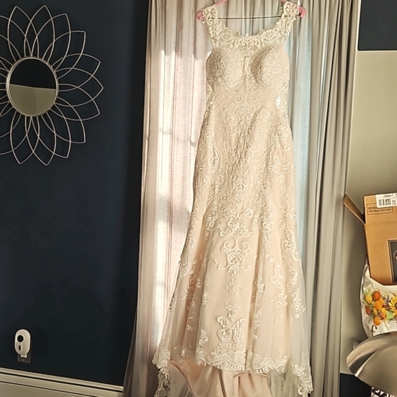 Wedding Dress - Picture 13 of 16